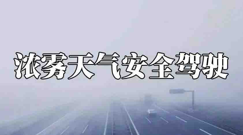 霧天行車注意事項一定要知道！